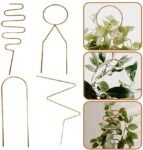 מתקן תמיכה לצמחים